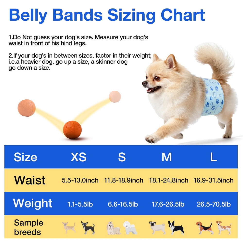 Flying Paws: ajuste para tallas 5.5–31.5 pulgadas