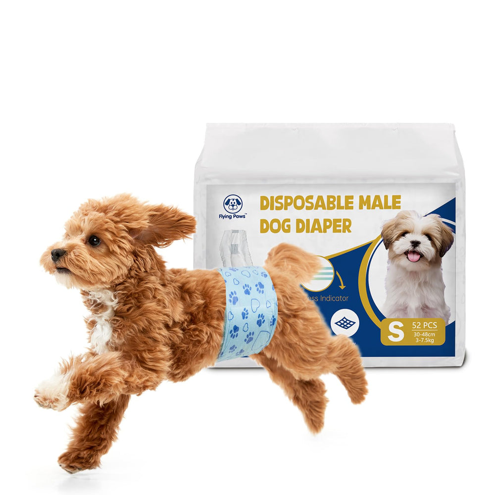 Flying Paws: pañales para perros machos con indicador de humedad y mayor higiene diaria