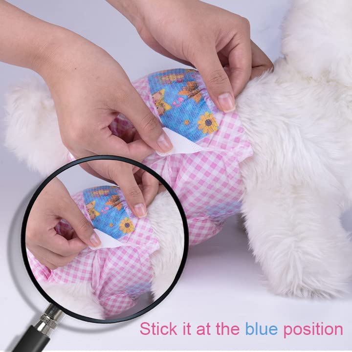 Flying Paws perra en celo con protección discreta y cómoda
