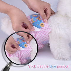 Flying Paws perra en celo con protección discreta y cómoda