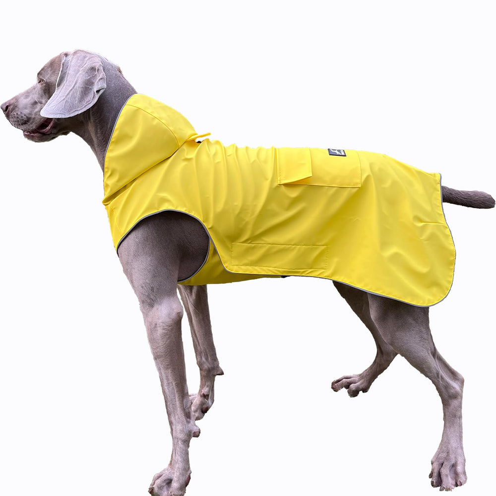 Flying Tail impermeable para perros con capucha, protección total contra la lluvia en paseos.