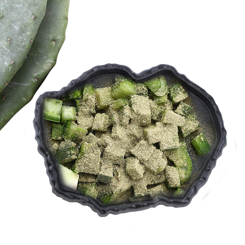 Flylin plato reptil material resina ABS, duradero y resistente.