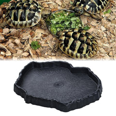 Flylin plato reptil uso versátil en terrario para varias especies.