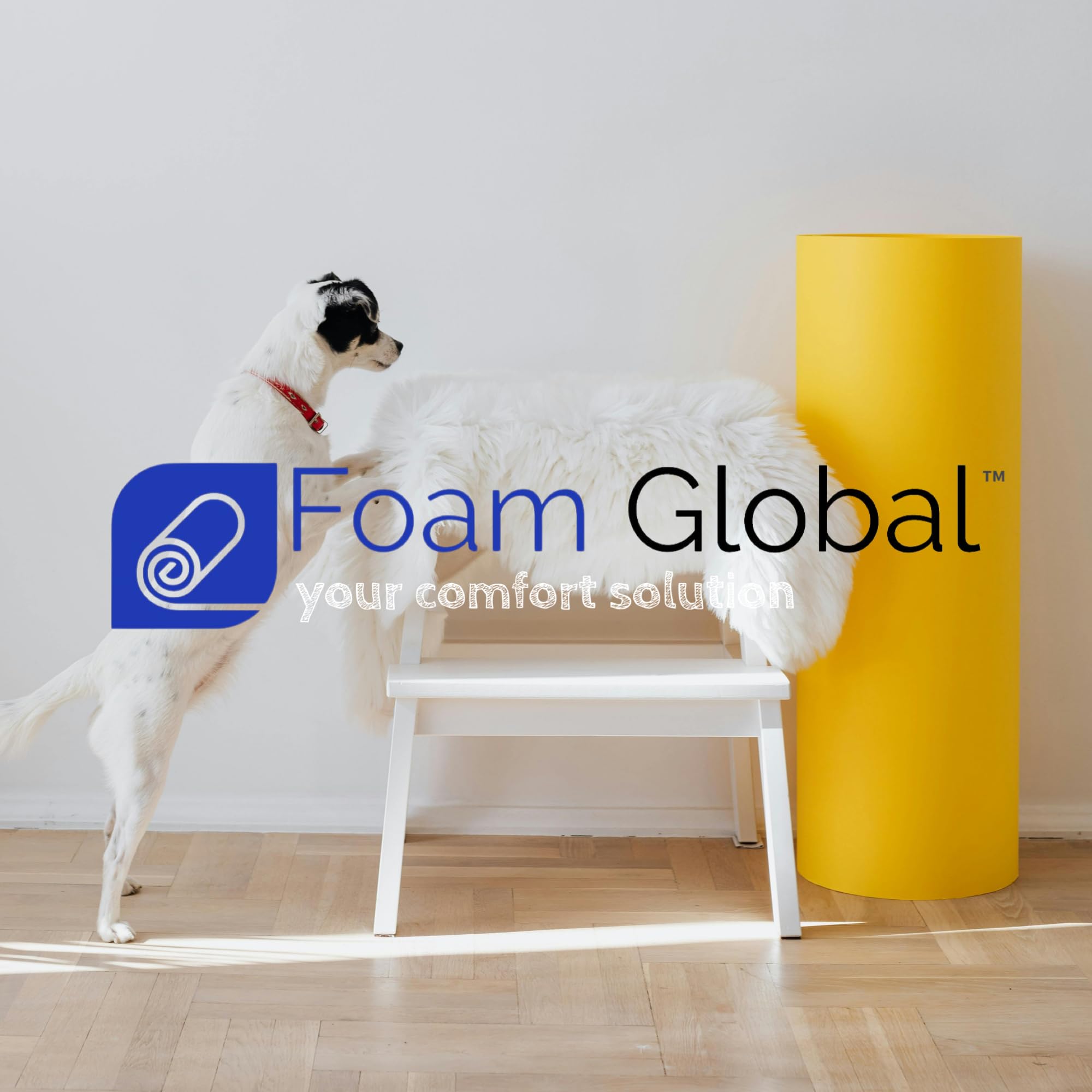 Foam Global dimensiones compactas para almacenamiento y uso práctico.