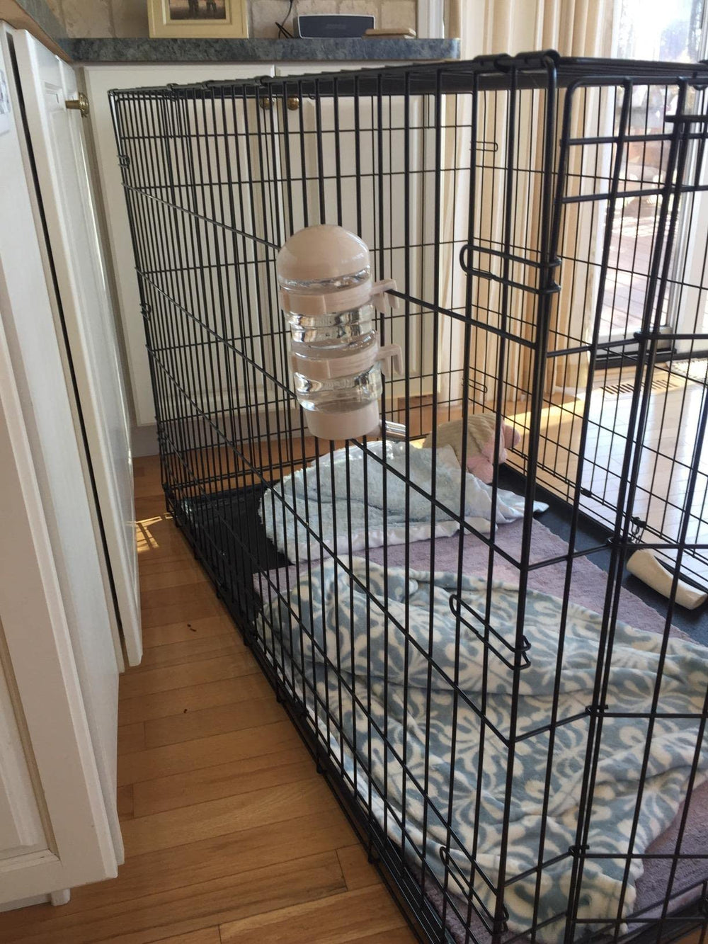 Accesorio seguro y duradero FOBLOEER para gatos, perros y conejos