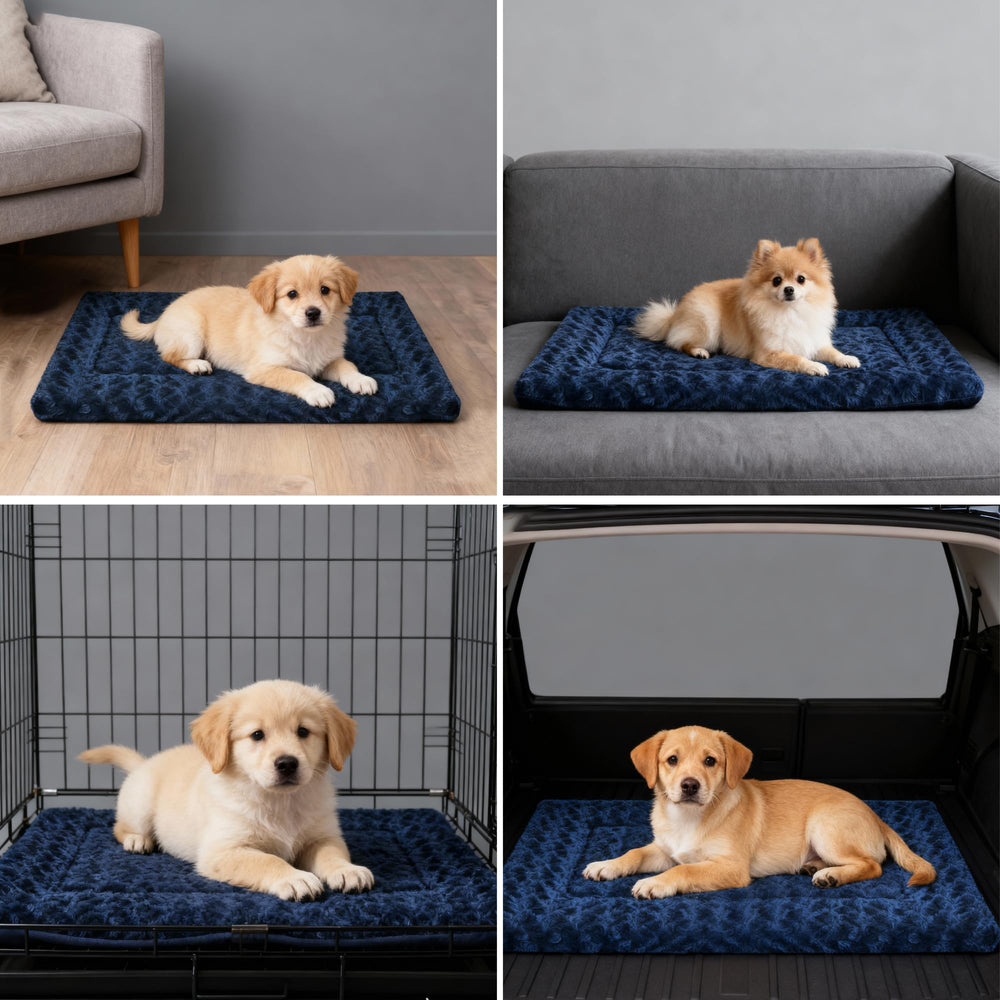 Fogkiss adecuada para todas las razas, proporciona apoyo suave.