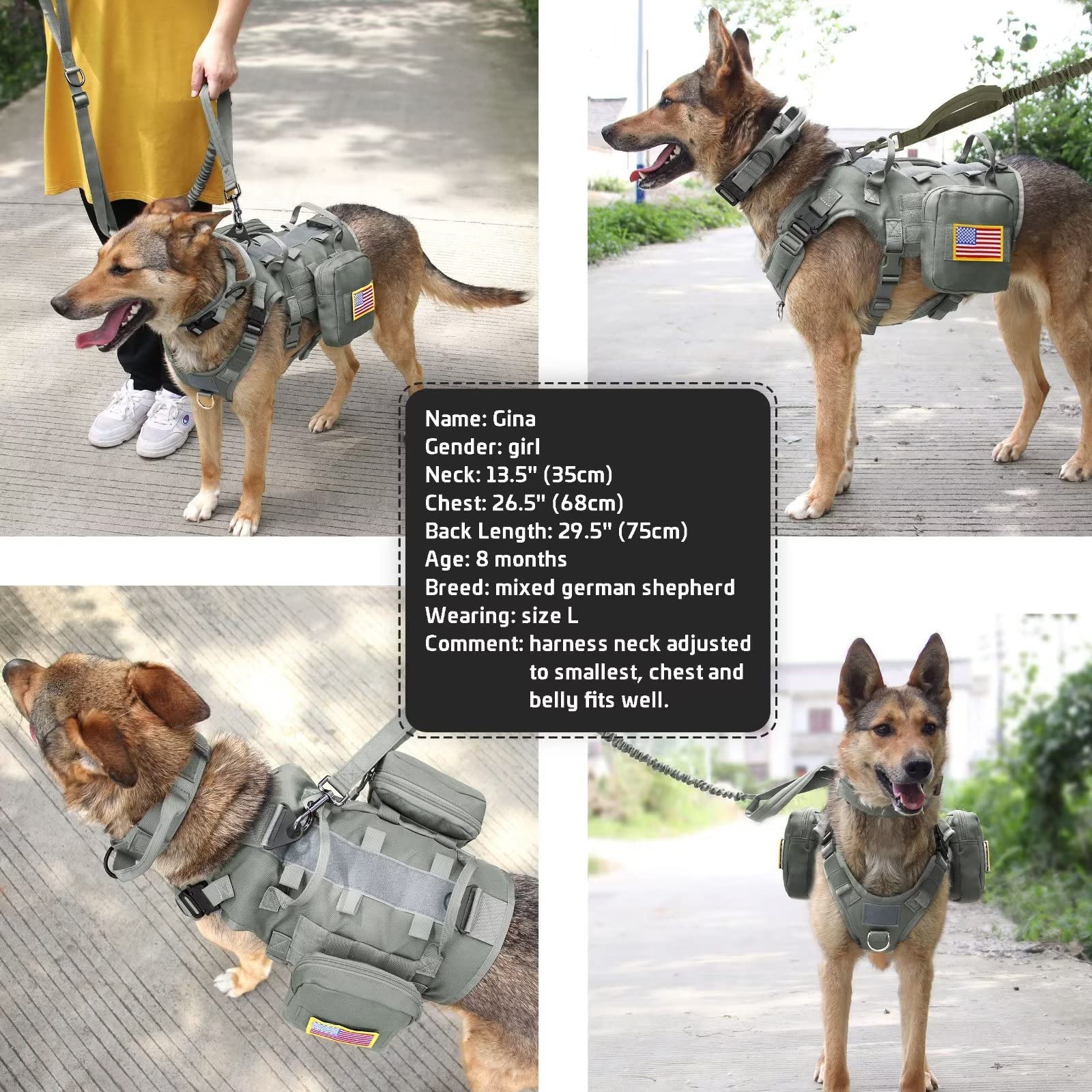 Forestpaw malla transpirable y duradera para días activos.
