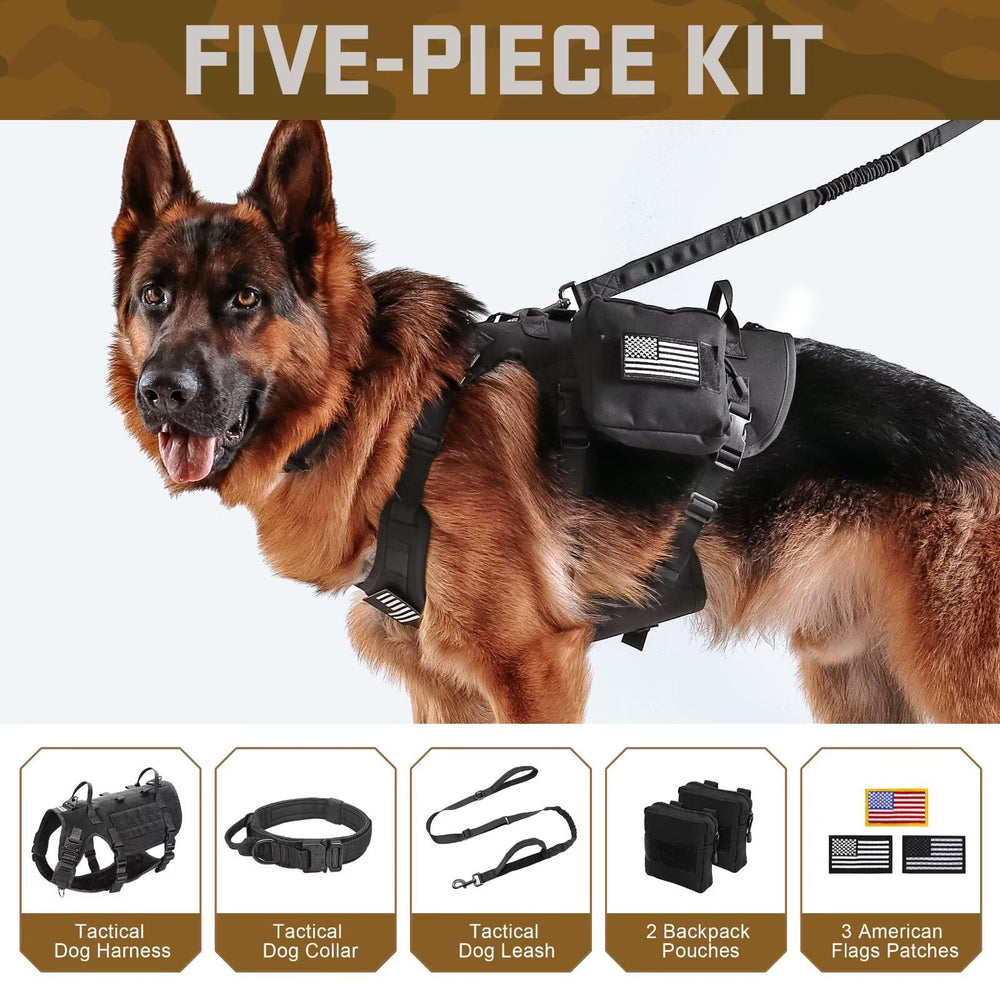 Mochilas MOLLE Forestpaw incluidas, almacenamiento práctico para excursiones
