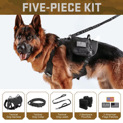 Mochilas MOLLE Forestpaw incluidas, almacenamiento práctico para excursiones