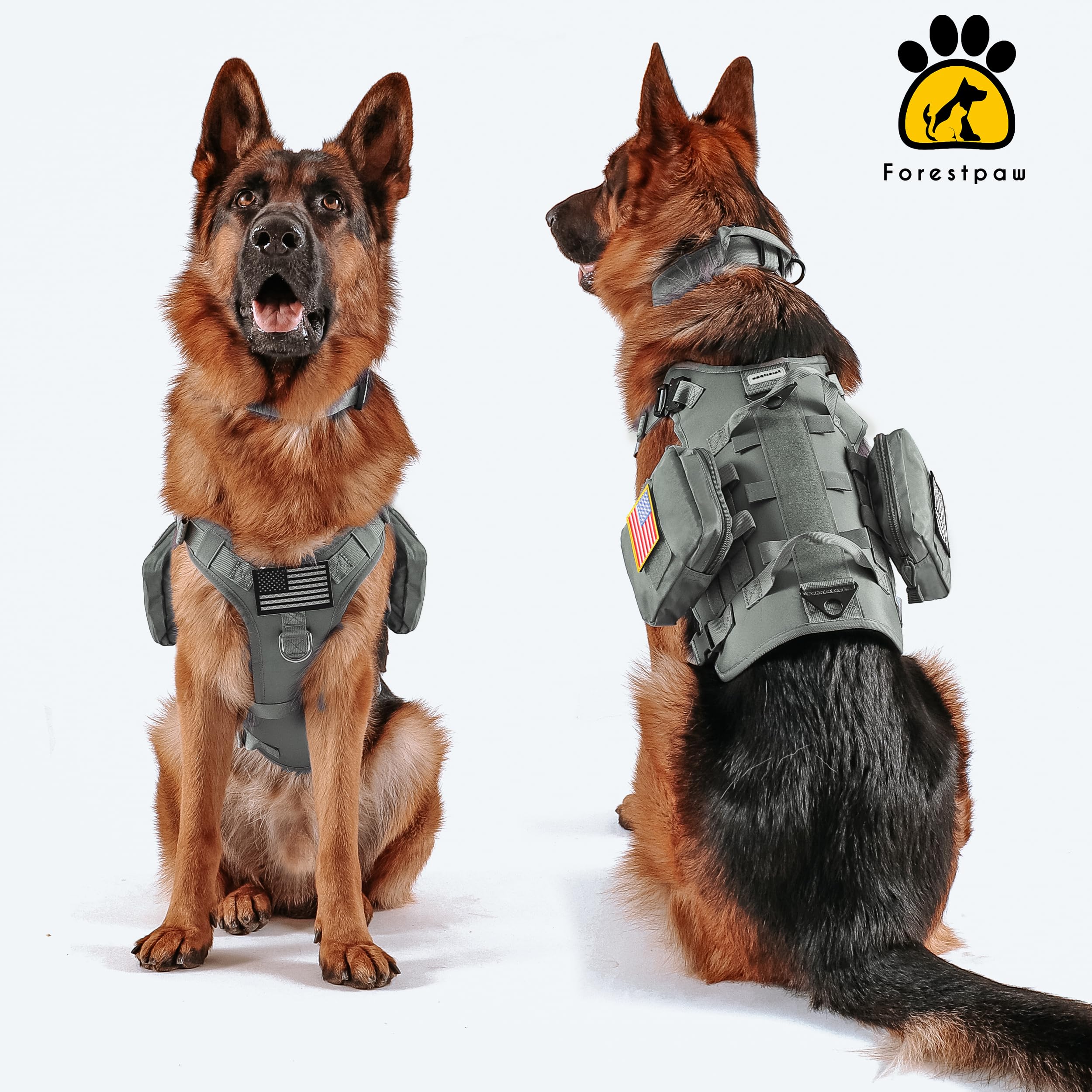Forestpaw sistema MOLLE y bolsillos para organizar accesorios.