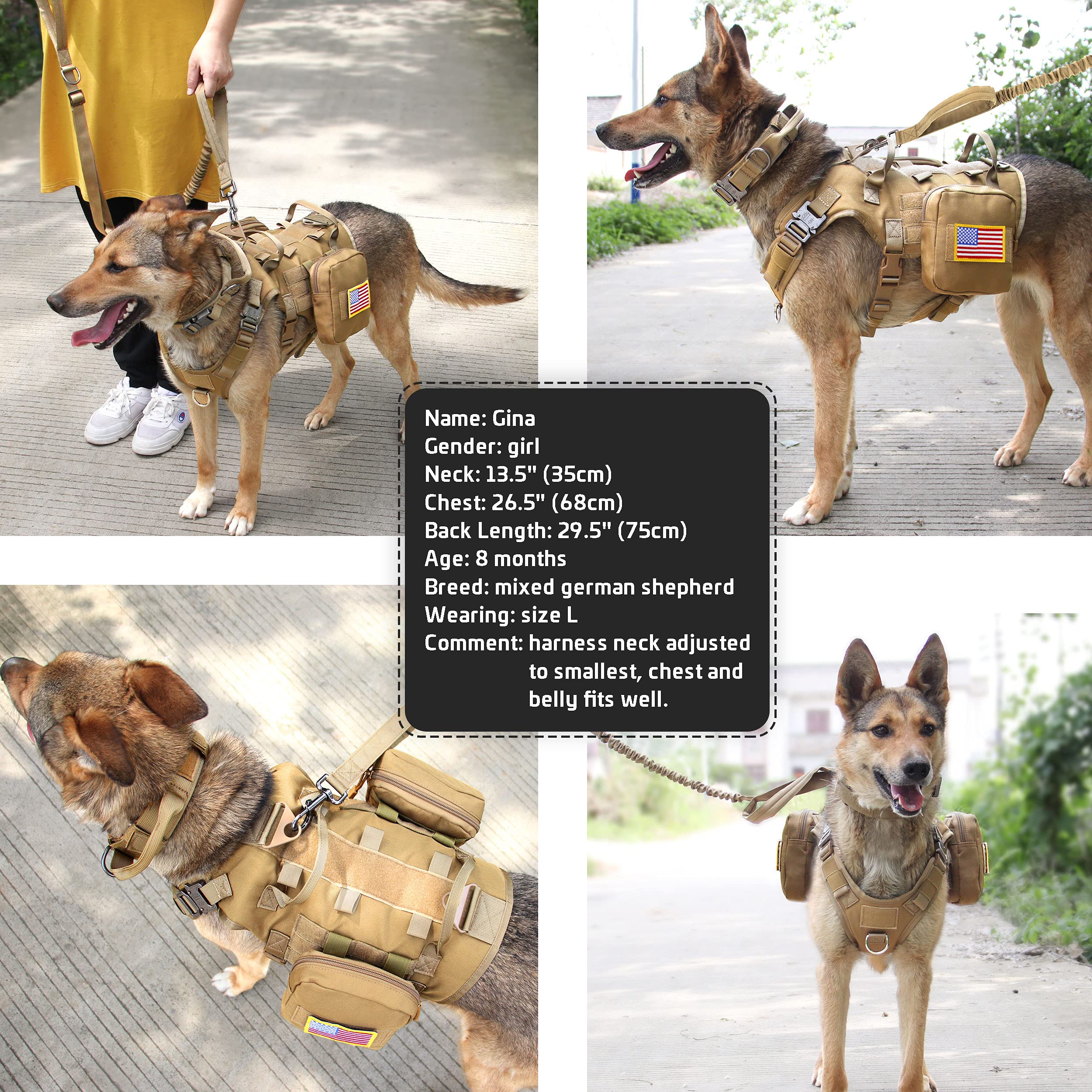 Forestpaw variedad de colores para estilo y seguridad