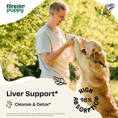 Forever Puppy gotas-diente-de-león en aplicación para comida de perros