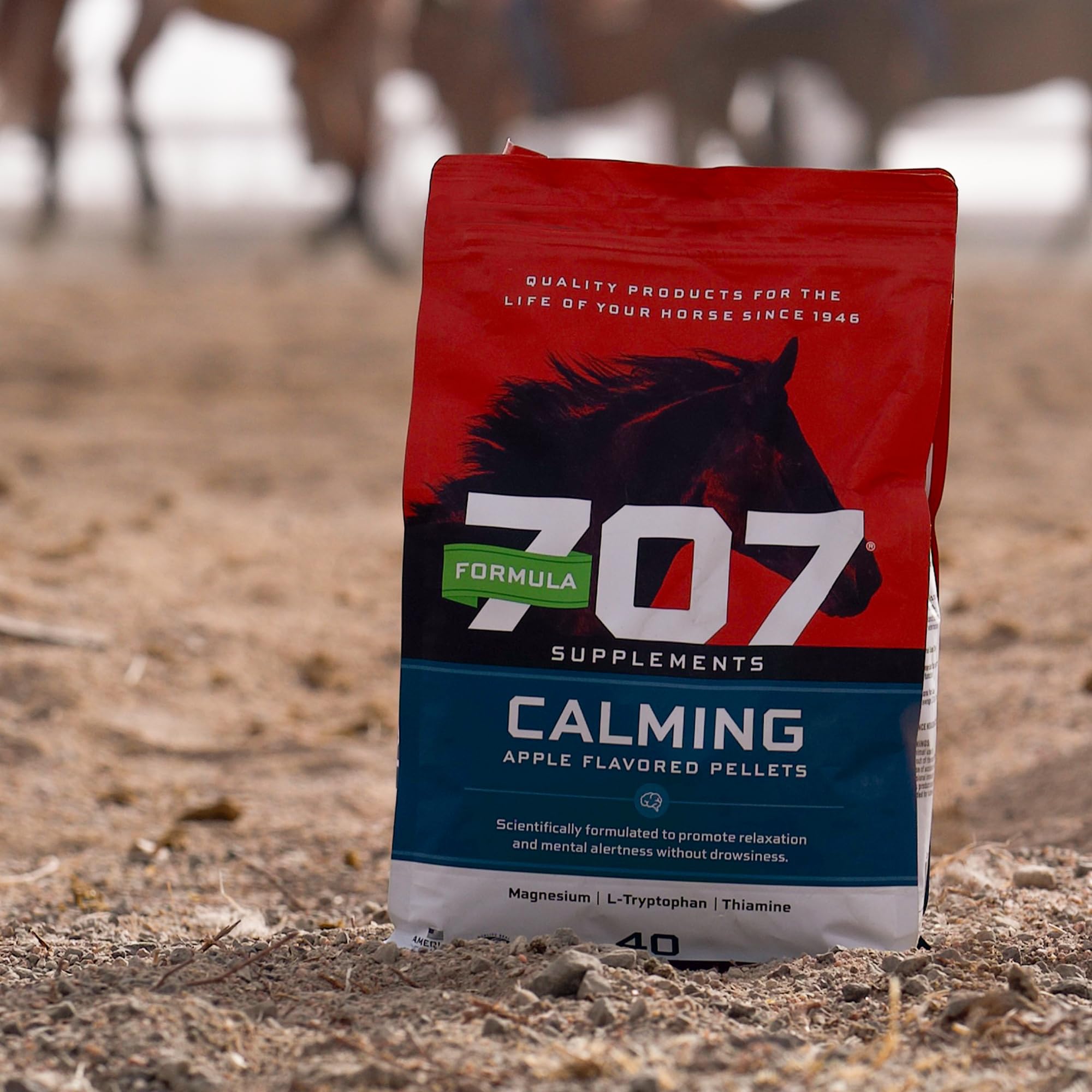 Formula 707: caballo relajado durante entrenamiento, posible apoyo para el rendimiento.