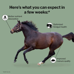 Formula 707: prebióticos para caballos que respaldan el crecimiento de microorganismos.