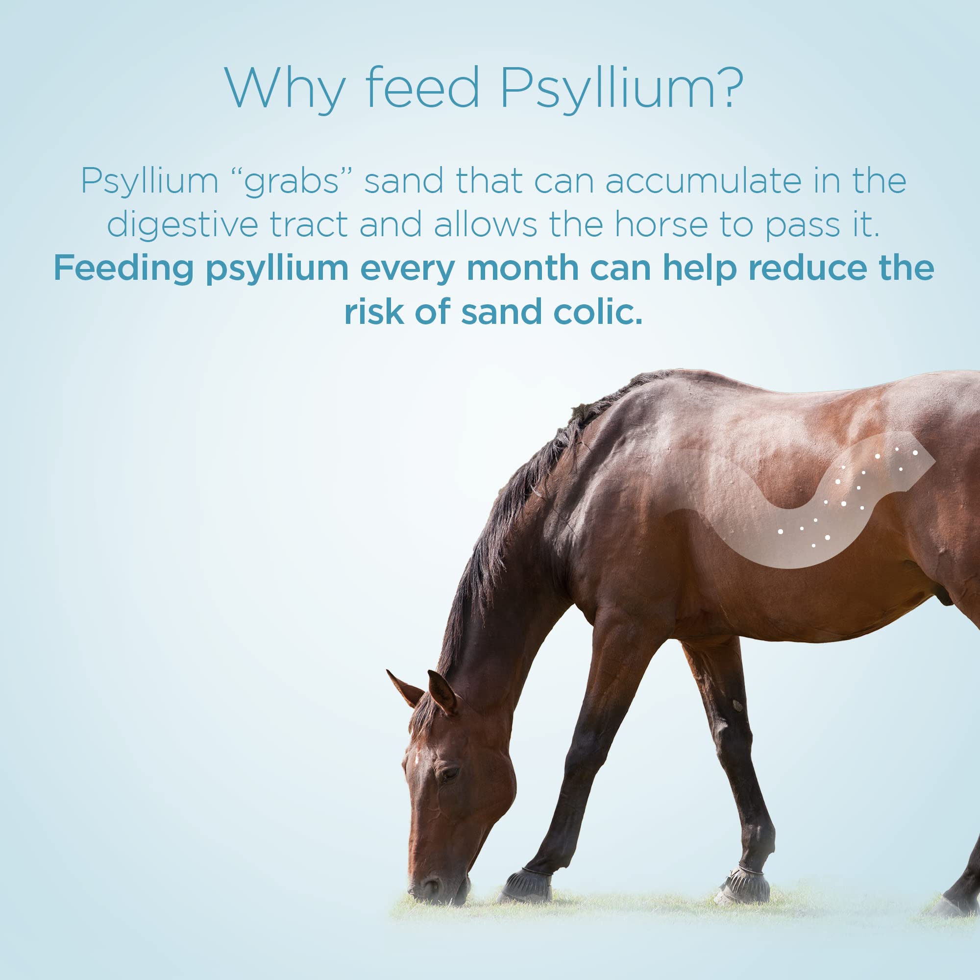 Formula 707 Psyllium Pellets: ración diaria para una digestión suave y estable.