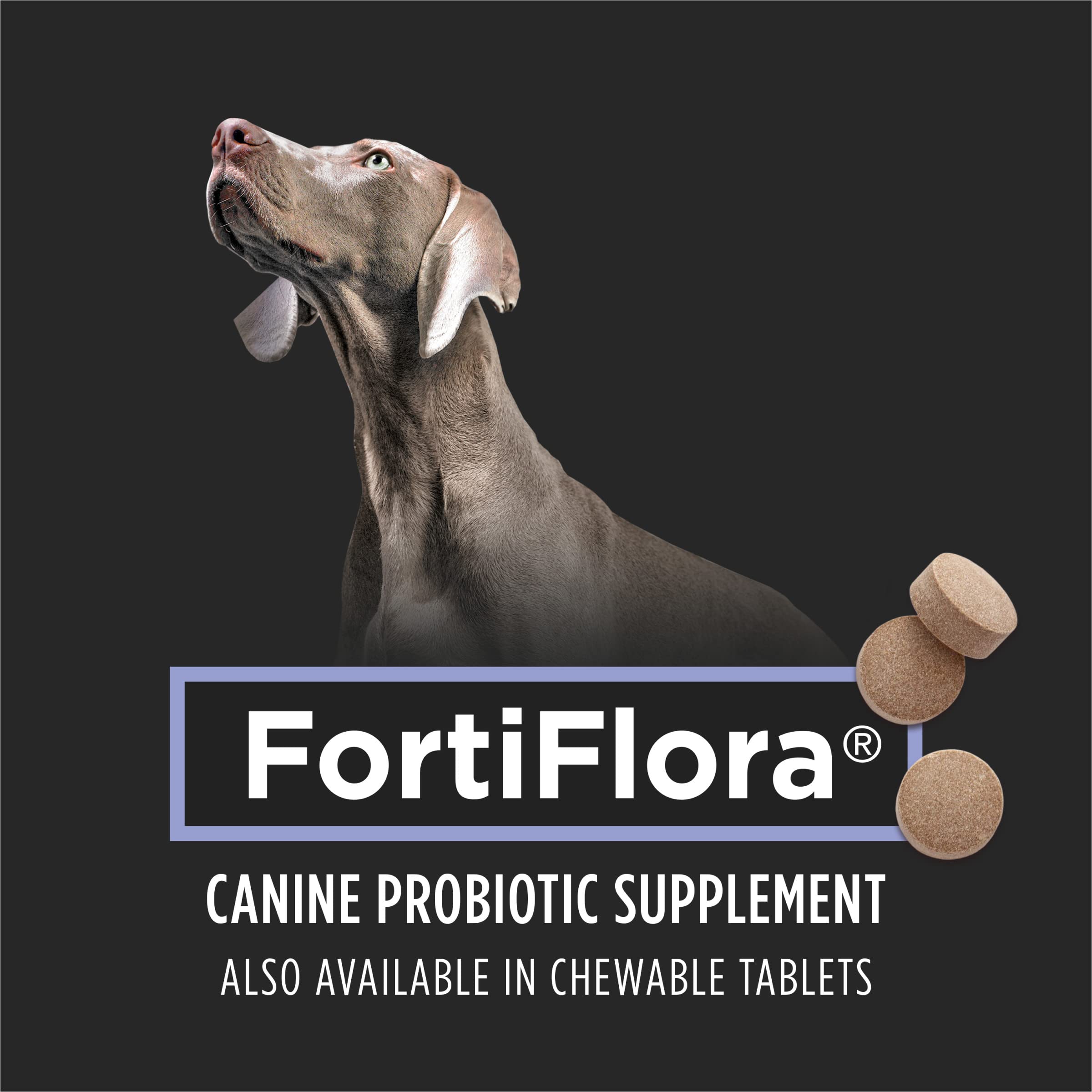 Fortiflora: polvo digestivo que puede ayudar a reducir gases en perros