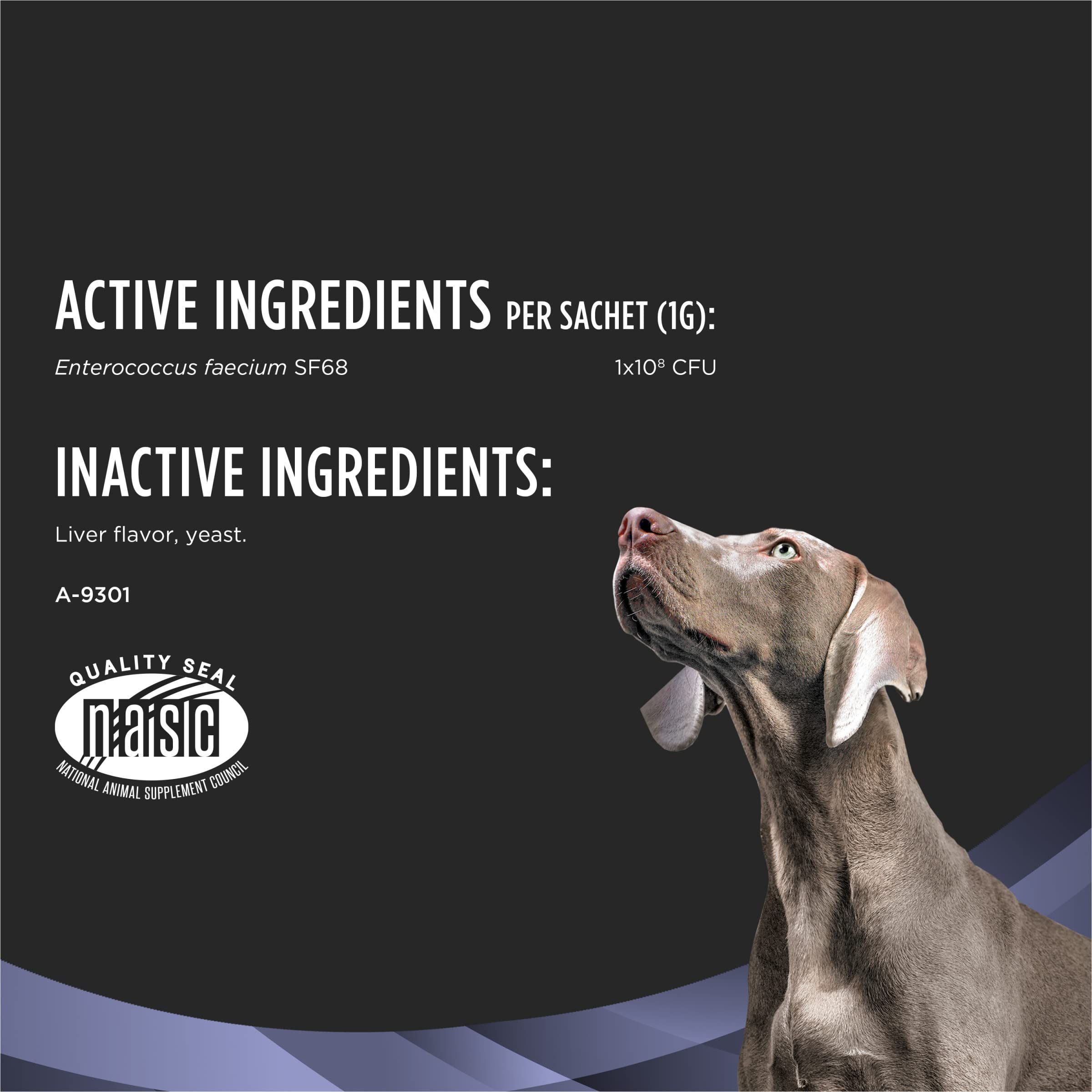 Fortiflora: uso diario para cachorros y adultos, soporte digestivo