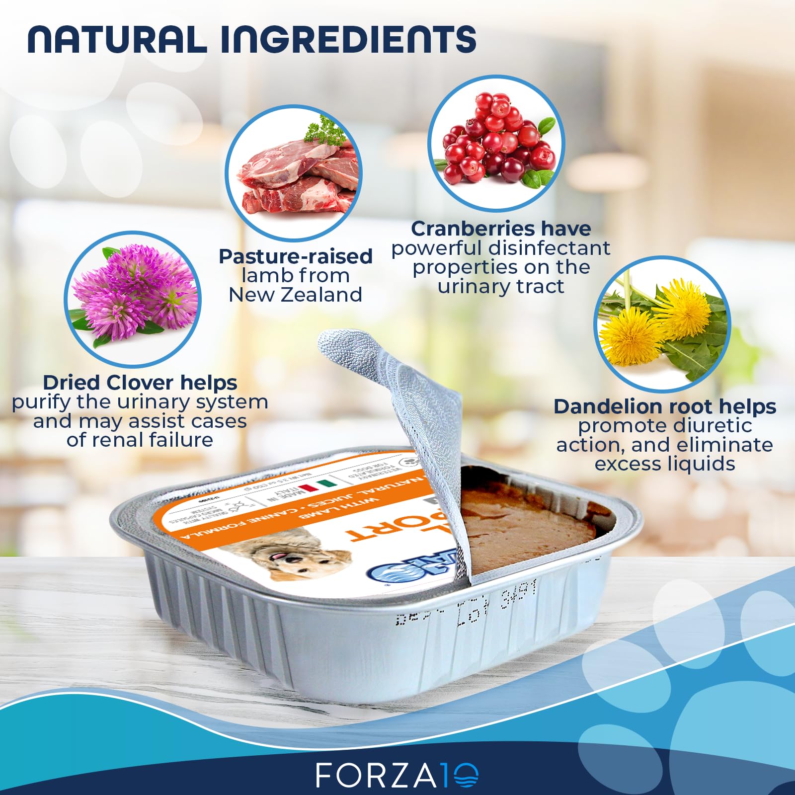 Forza10 arándanos y diente de león, complemento natural para la salud.