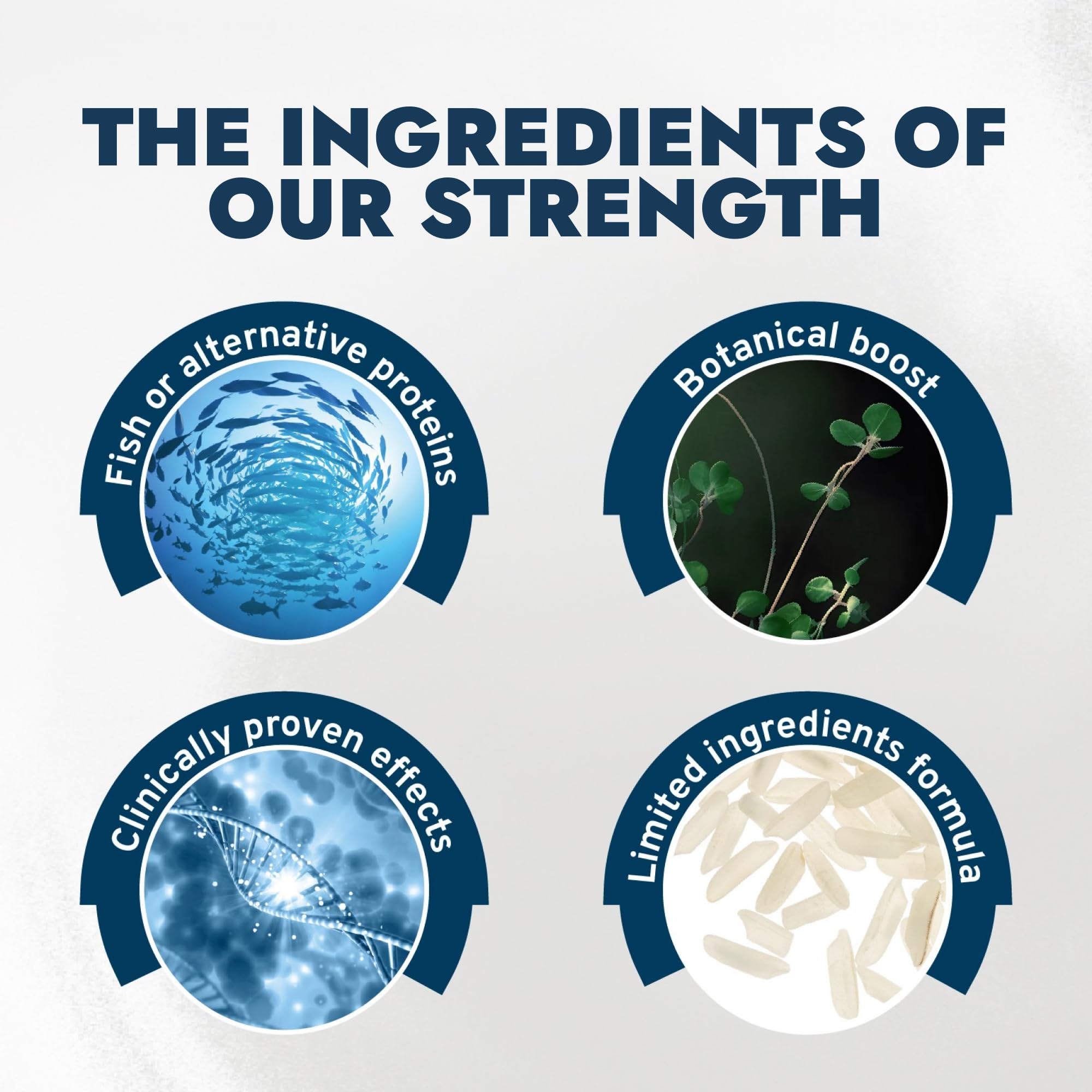 Forza10 aroma de salmón tentador para la hora de comer.