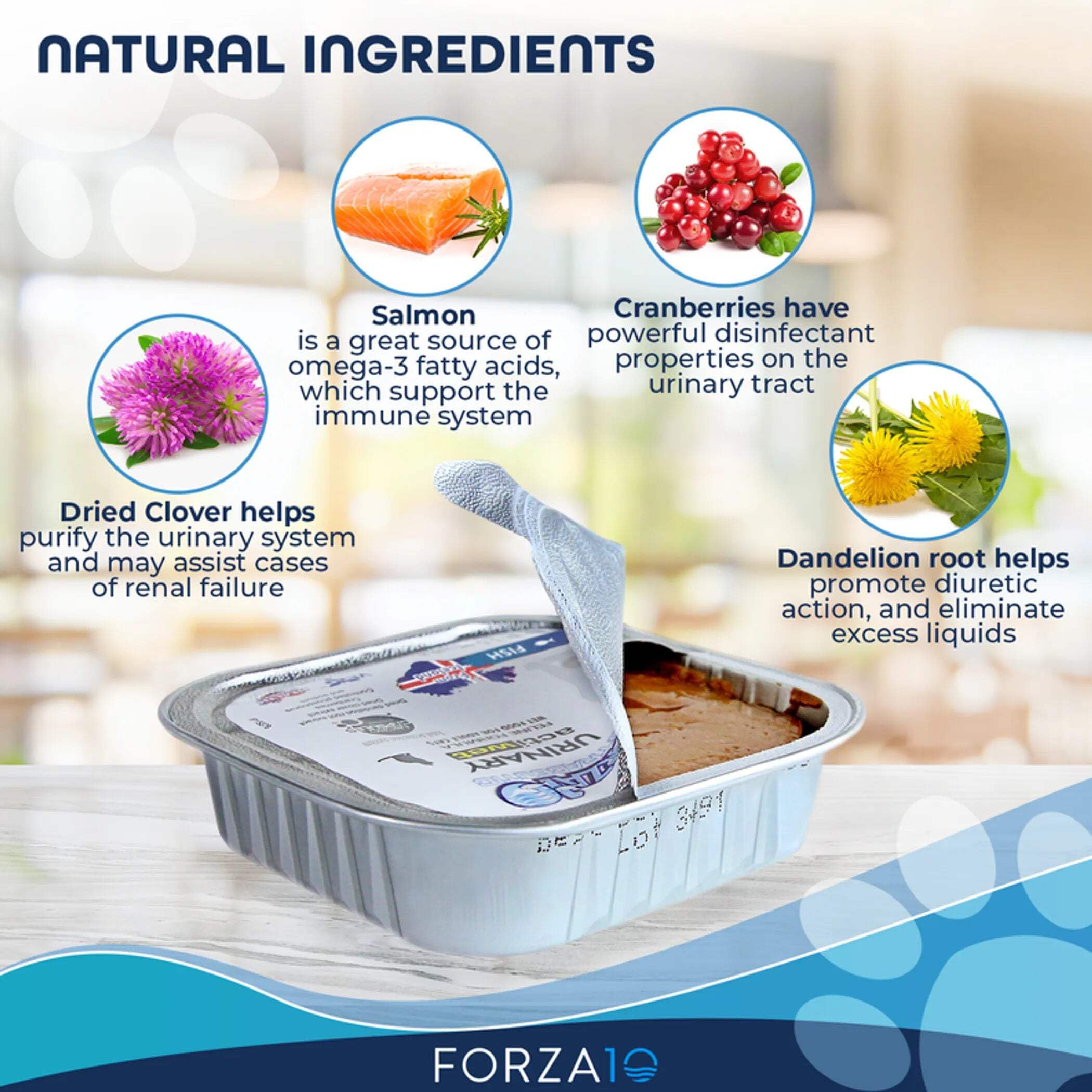 Forza10 ayuda a la salud urinaria del gato gracias a ingredientes naturales