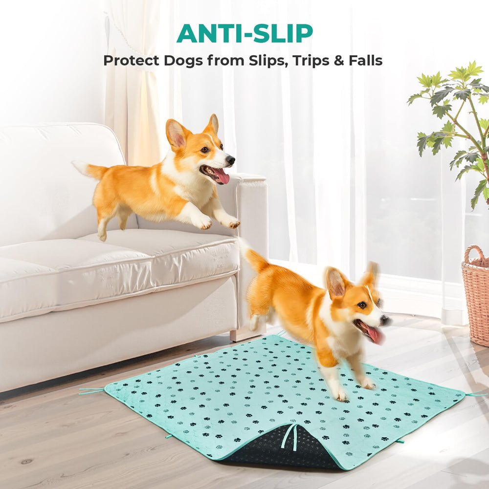Uso portátil de la almohadilla Fostanfly 36x48 para entrenar fuera de casa.