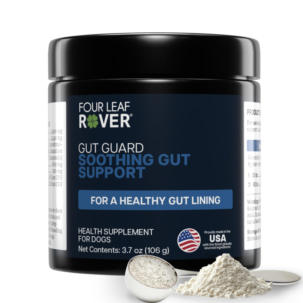 Botella Four Leaf Rover Gut Guard, apoyo digestivo para uso diario.