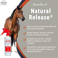 Four Oaks Farm Ventures arnica-eucalipto-aplicacion brinda alivio suave en áreas sensibles
