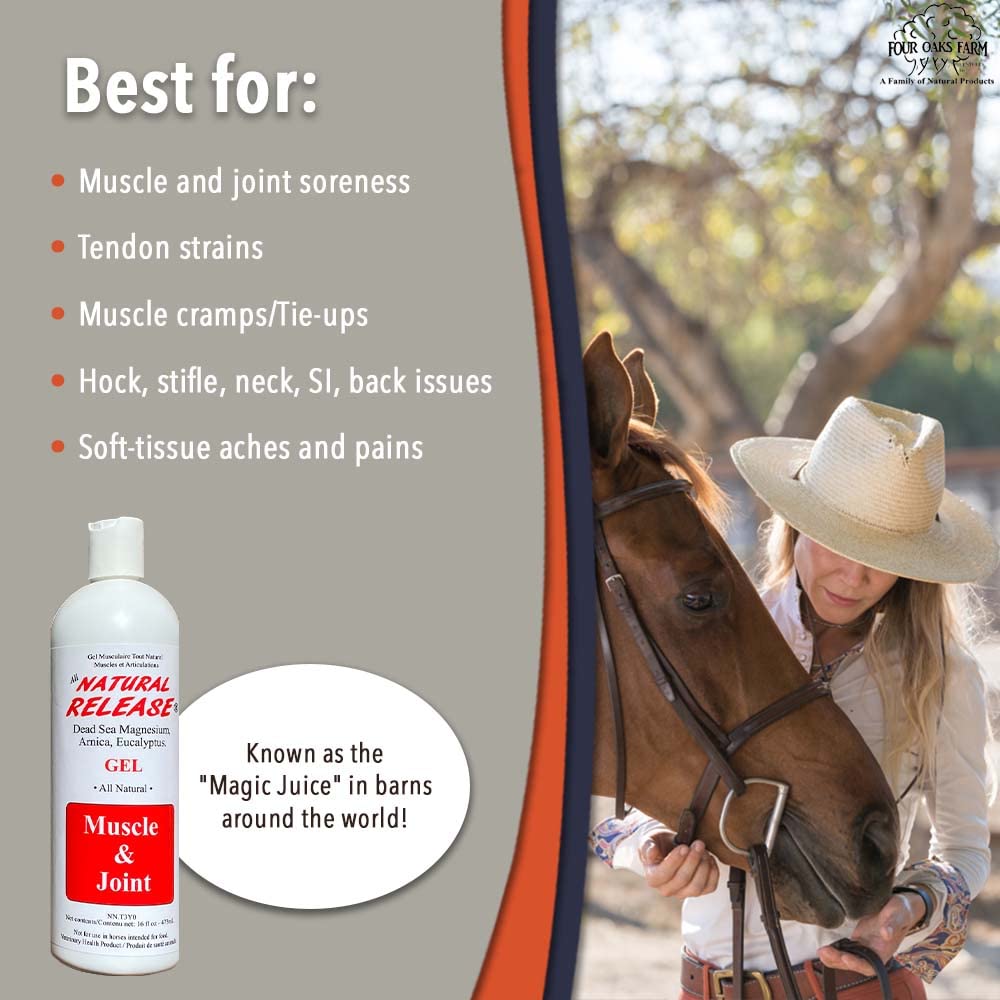 Caballo en campo con gel muscular para uso en entrenamiento diario