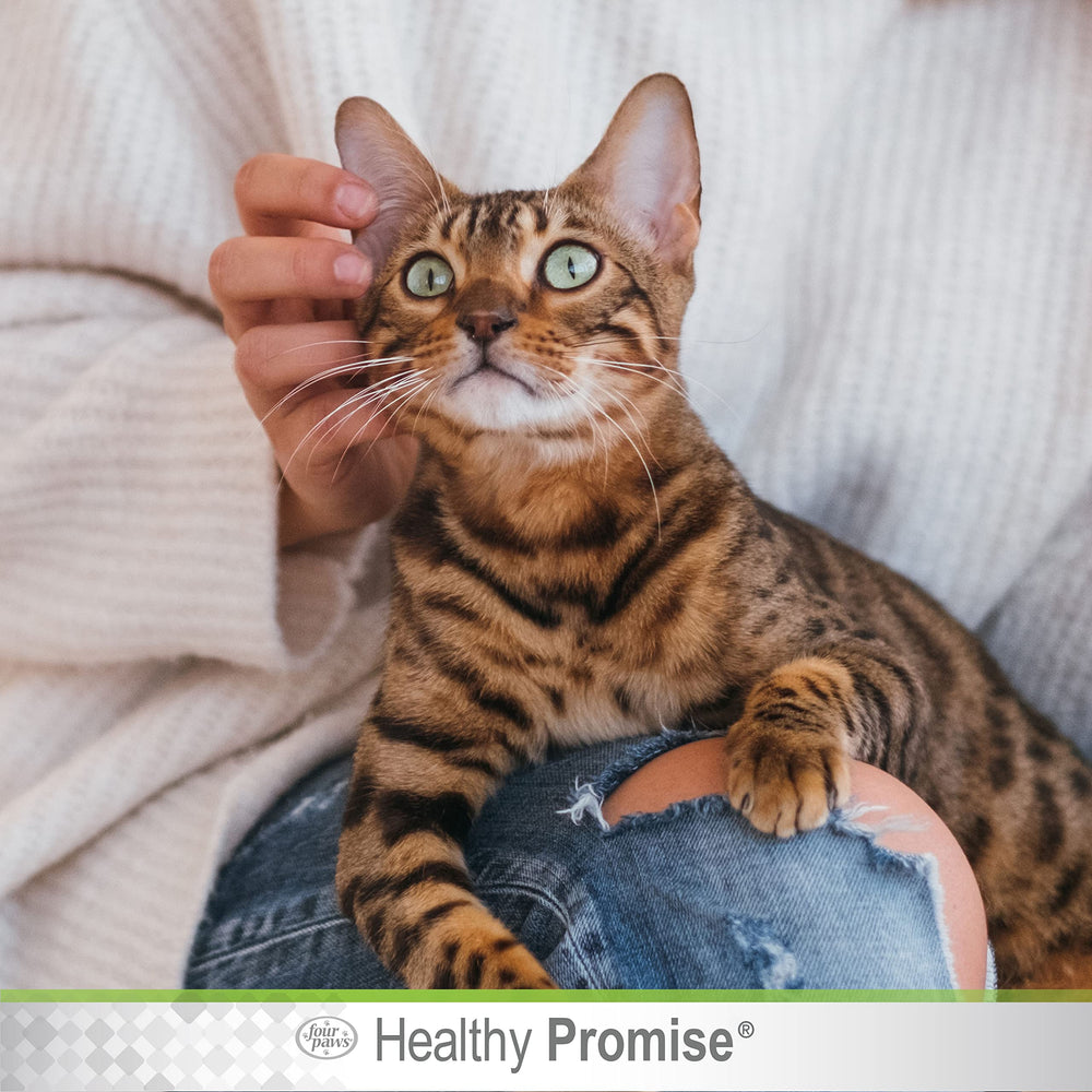 Uso en gatos mayores de 12 semanas con Four Paws Healthy Promise