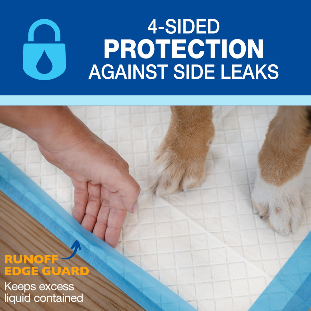 Four Paws Wee-Wee Pad con atractivo dirigido para entrenamiento.