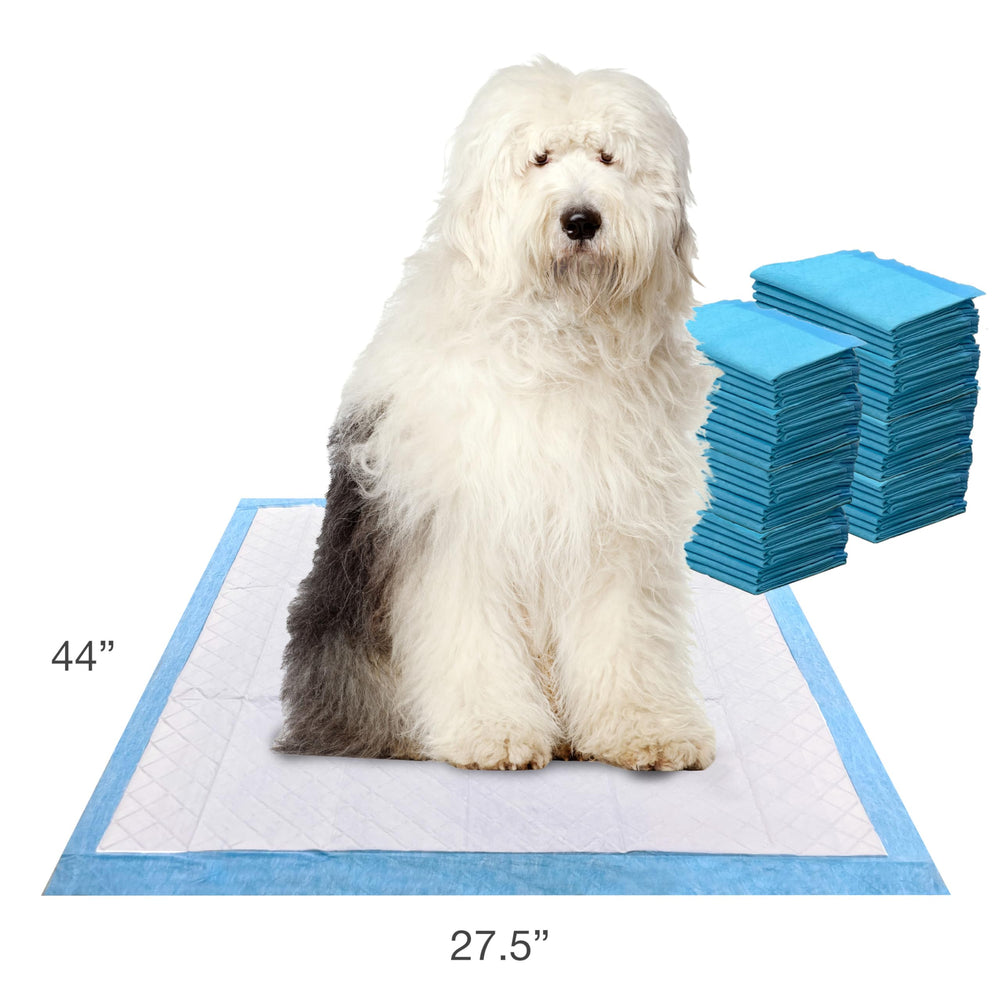 Four Paws Wee-Wee Pad con capa resistente a desgarros protege suelos