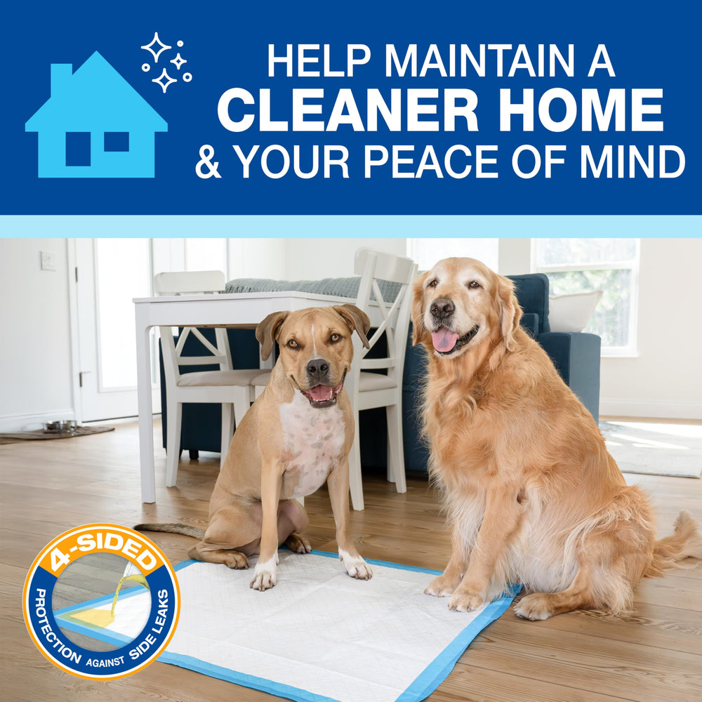 Four Paws Wee-Wee Pad diseño absorbente para uso diario.