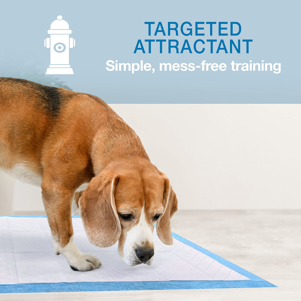 Wee-Wee Pad para perros grandes, ideal para hogares con varios perros