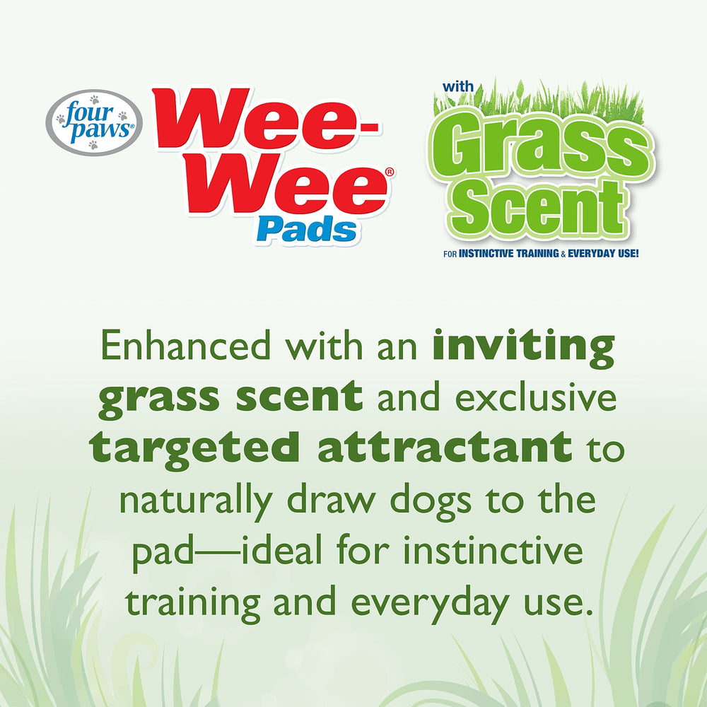 Four Paws Wee-Wee pad protección suelo 24h.