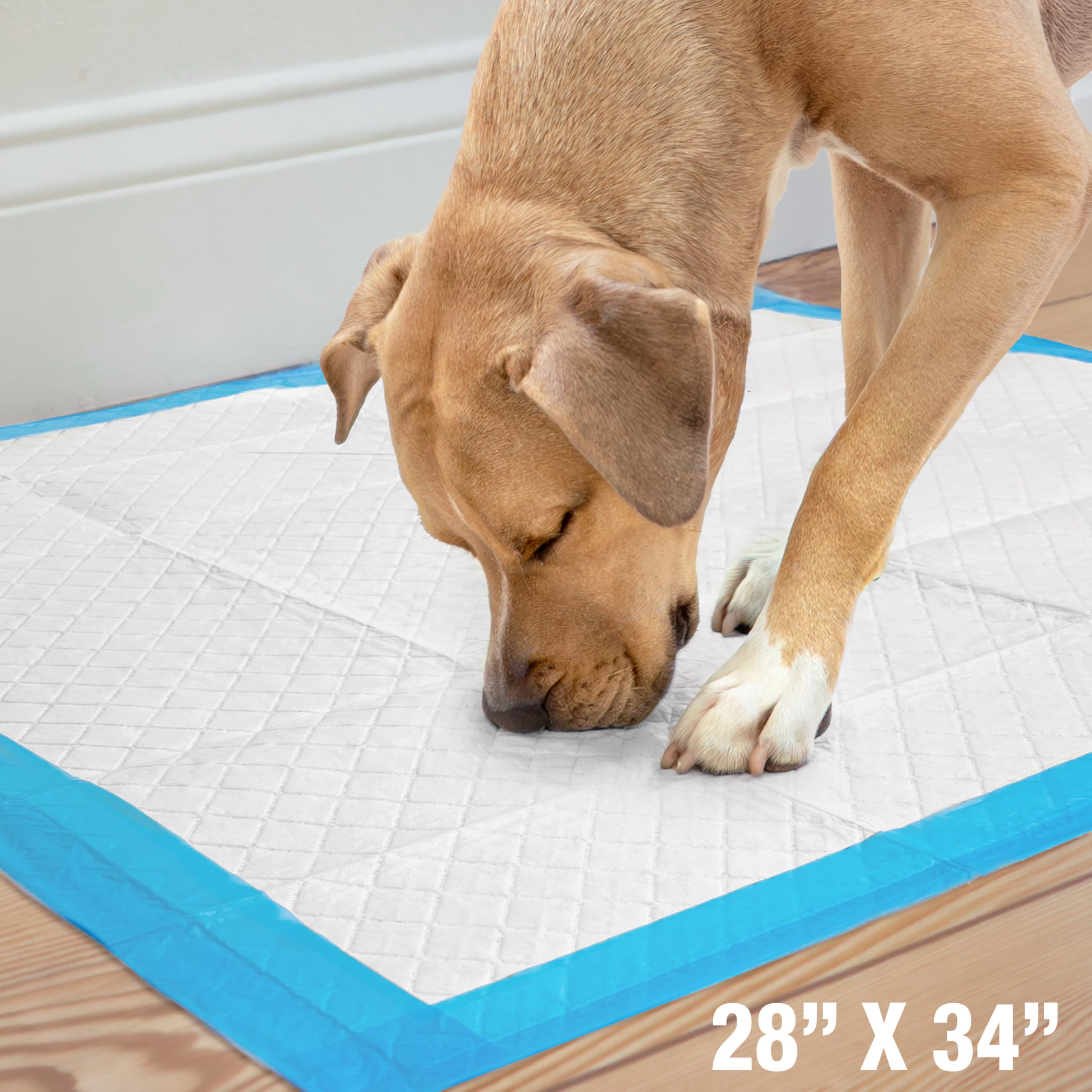 Four Paws Wee-Wee Pad protege el suelo en interiores.