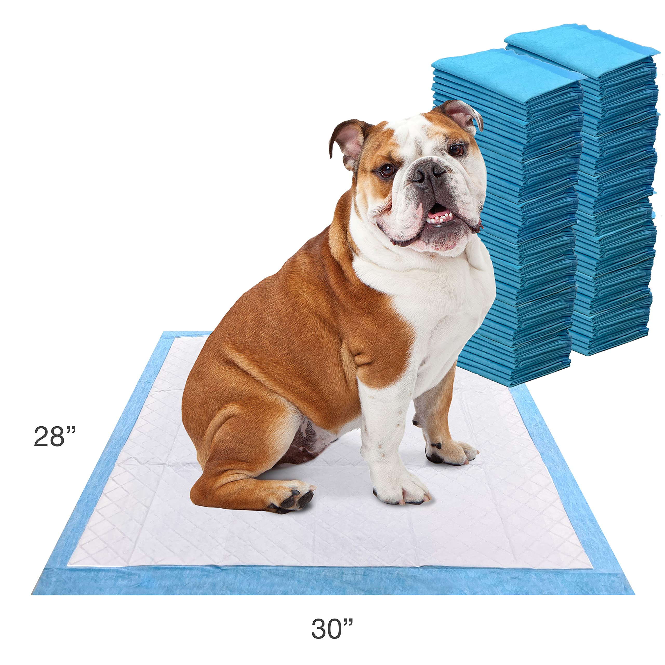 Four Paws Wee-Wee almohadilla de 22 x 23 pulgadas para perros de todos los tamaños