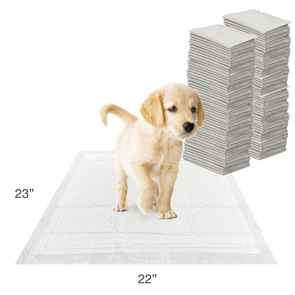 Four Paws Wee-Wee apta para perros de todos los tamaños
