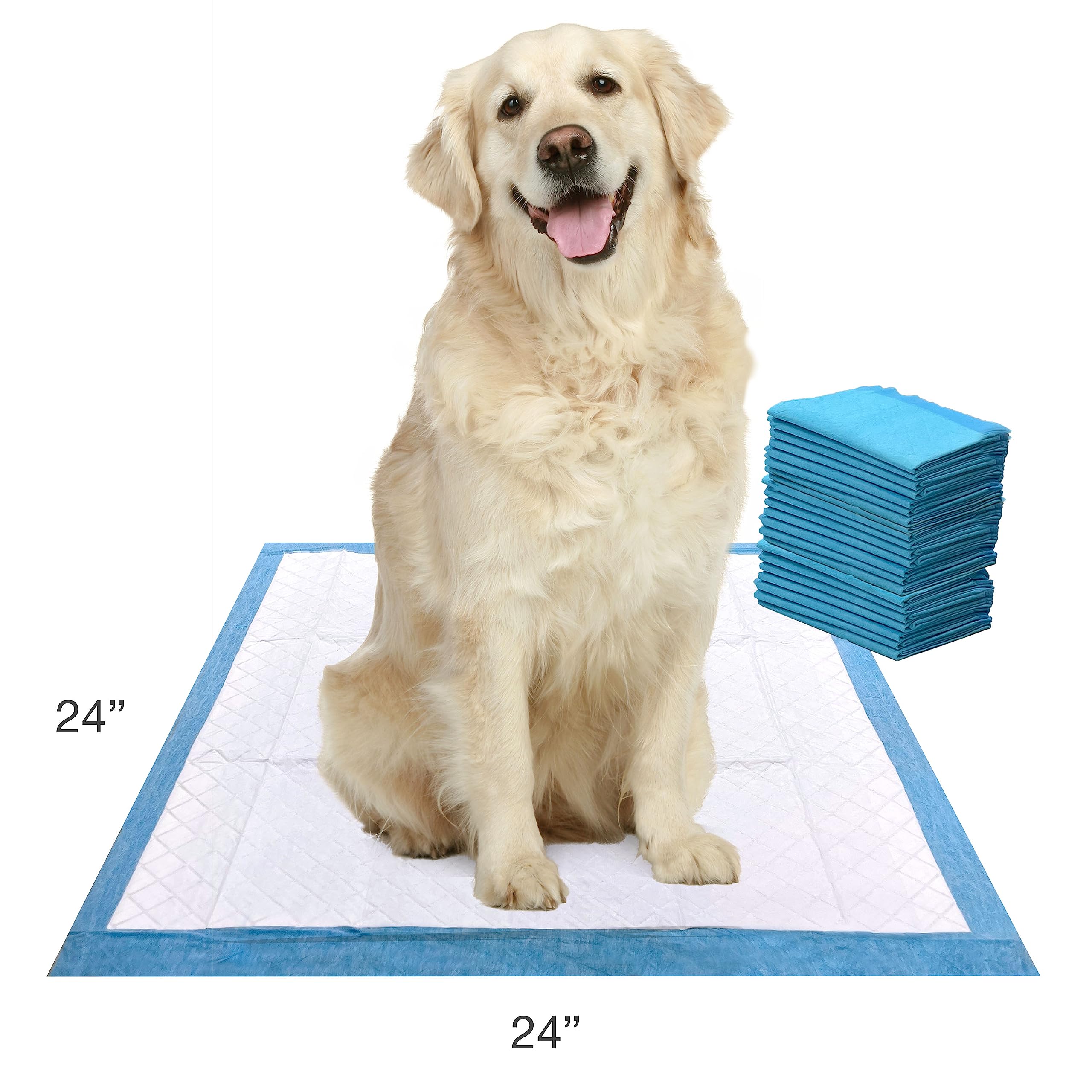 Four Paws Wee-Wee atractivo incorporado para entrenamiento consistente