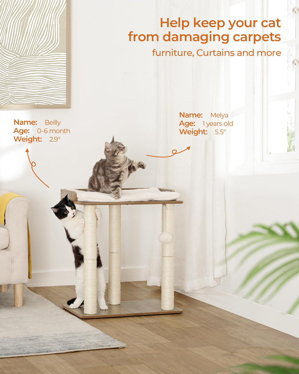 Poste sisal FourFurPets de 19.7 pulgadas para afilar uñas sin dañar muebles.