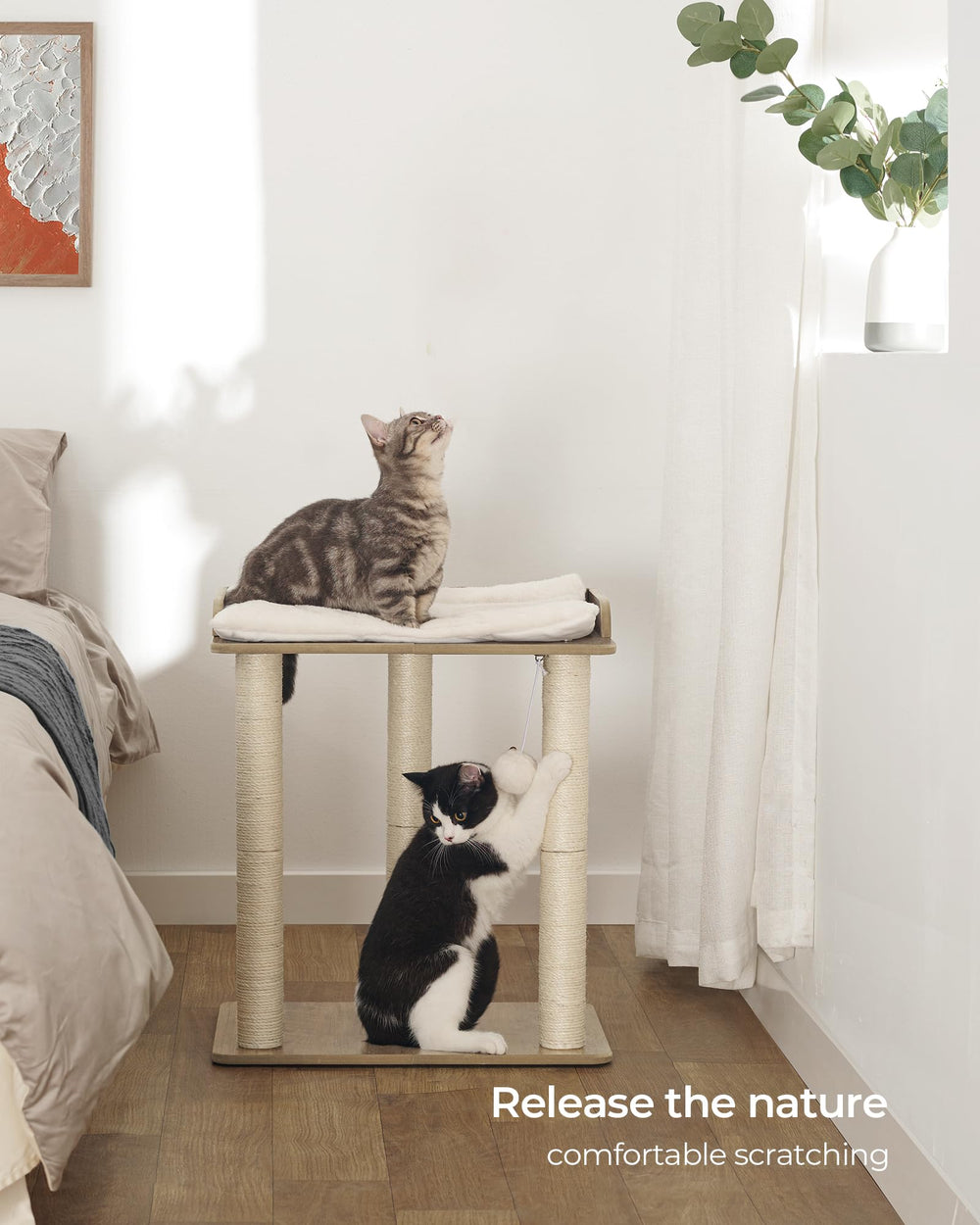 Poste sisal FourFurPets de 19.7 pulgadas para rascar y entretenerse.
