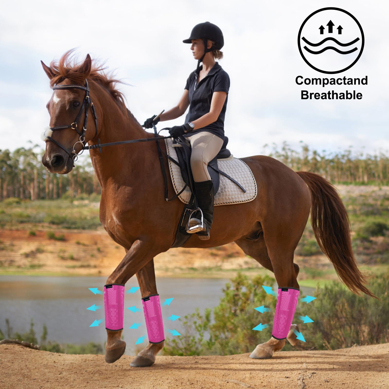FOXLVDA guía de tallas para caballos, desde ponis hasta caballos de talla media