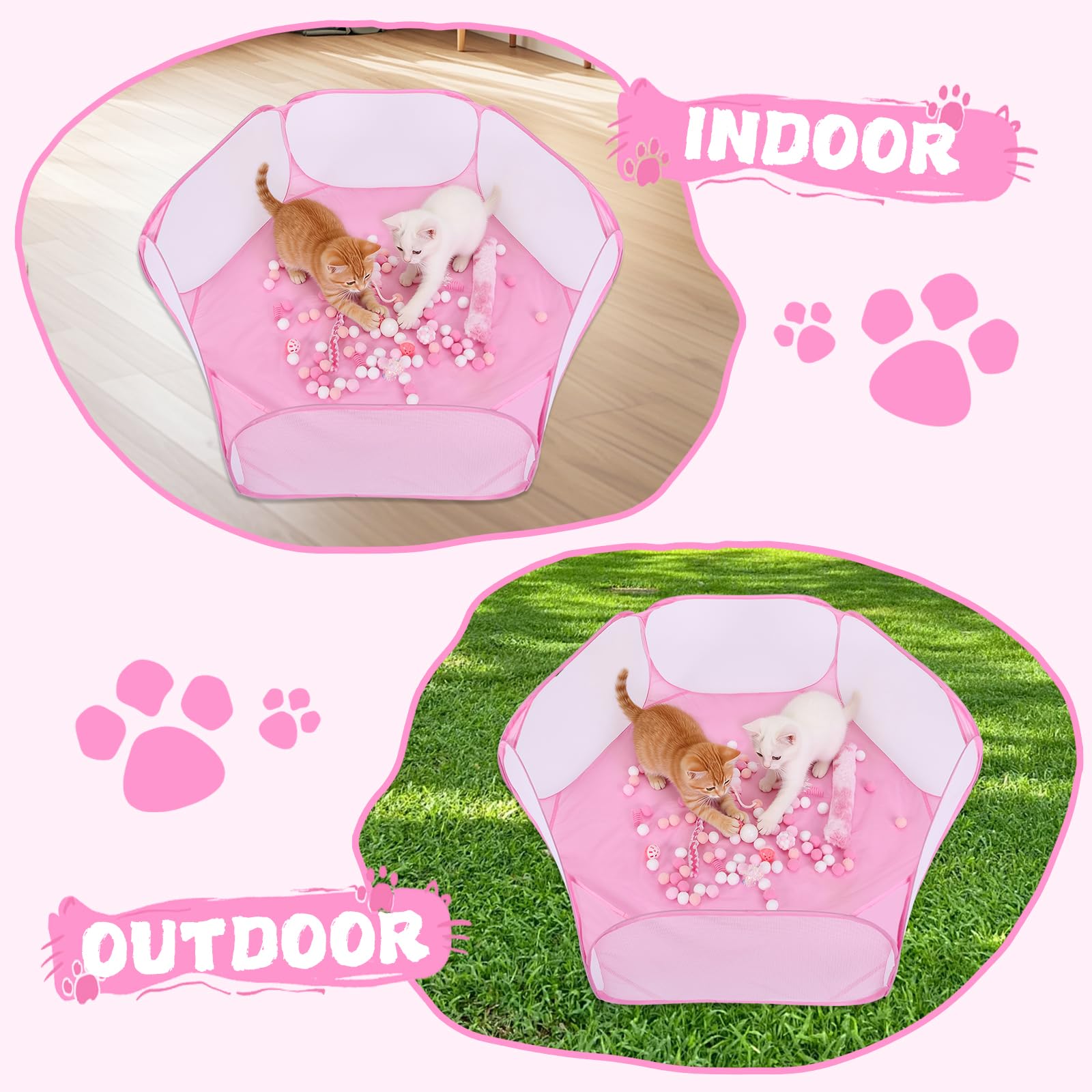 Foxtell bola brillante para gatos aporta estímulo sensorial