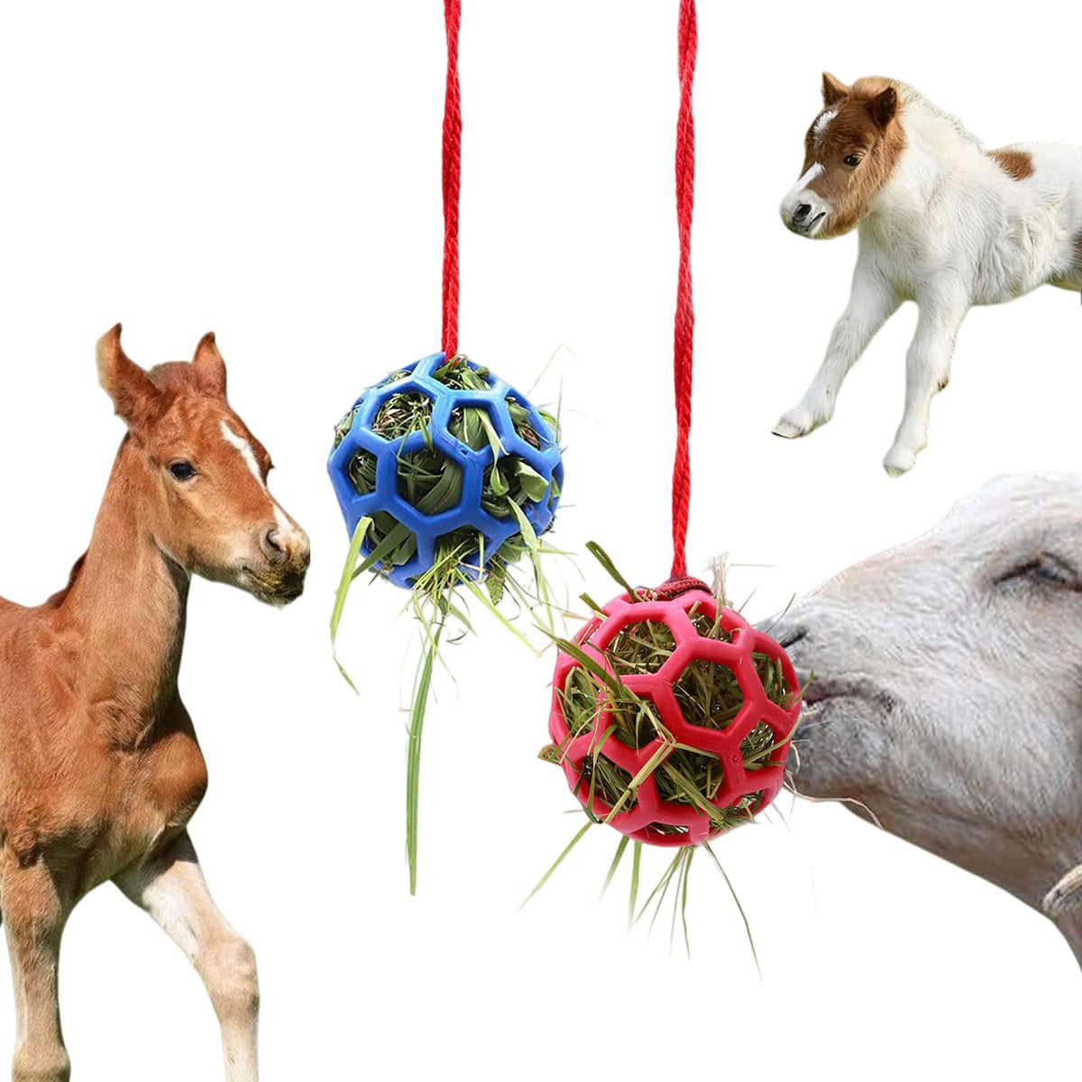 Foycow bola de heno para caballos, en juego en el recinto