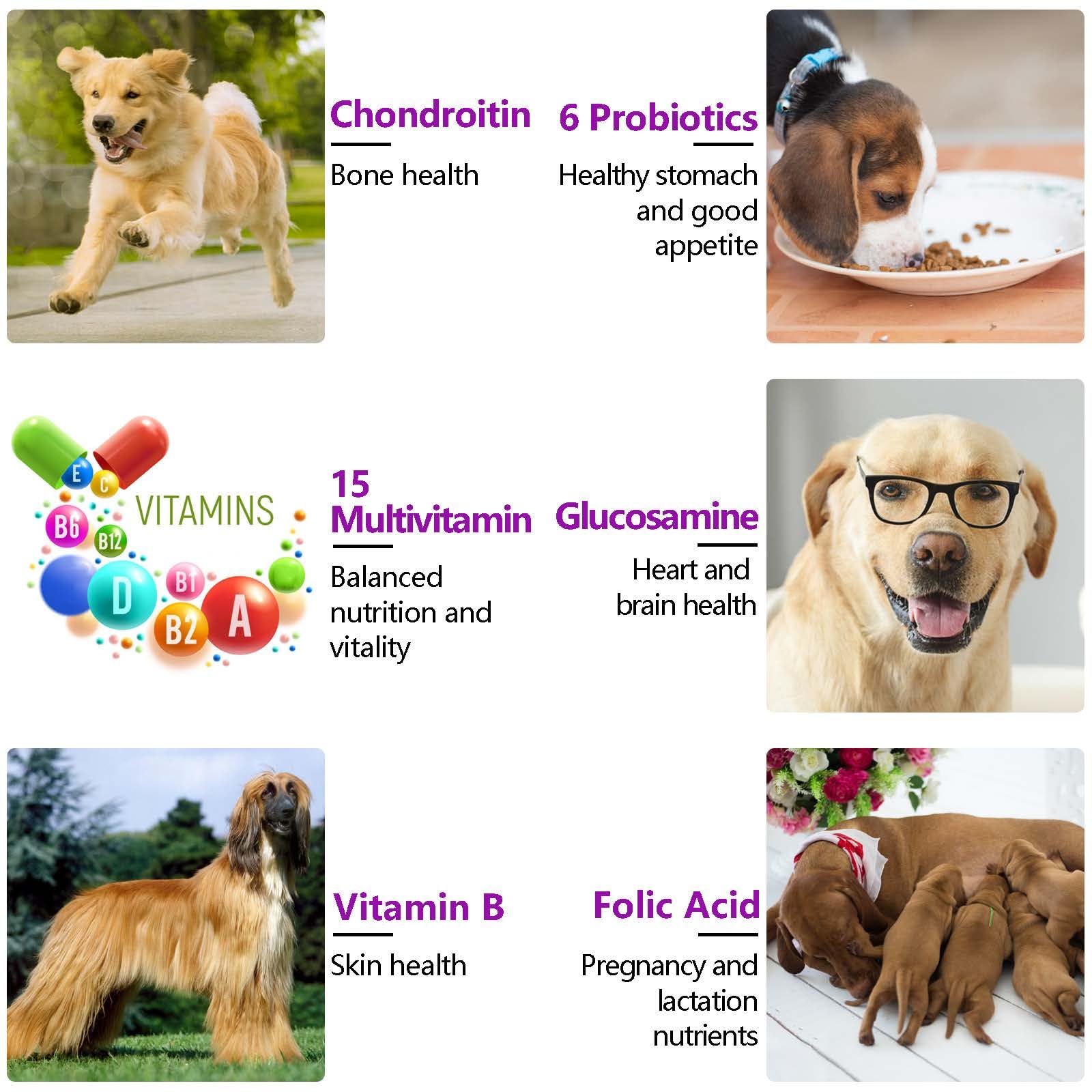FRDUGA etiqueta lateral indica perfil de 15 en 1 para perros sabor pato