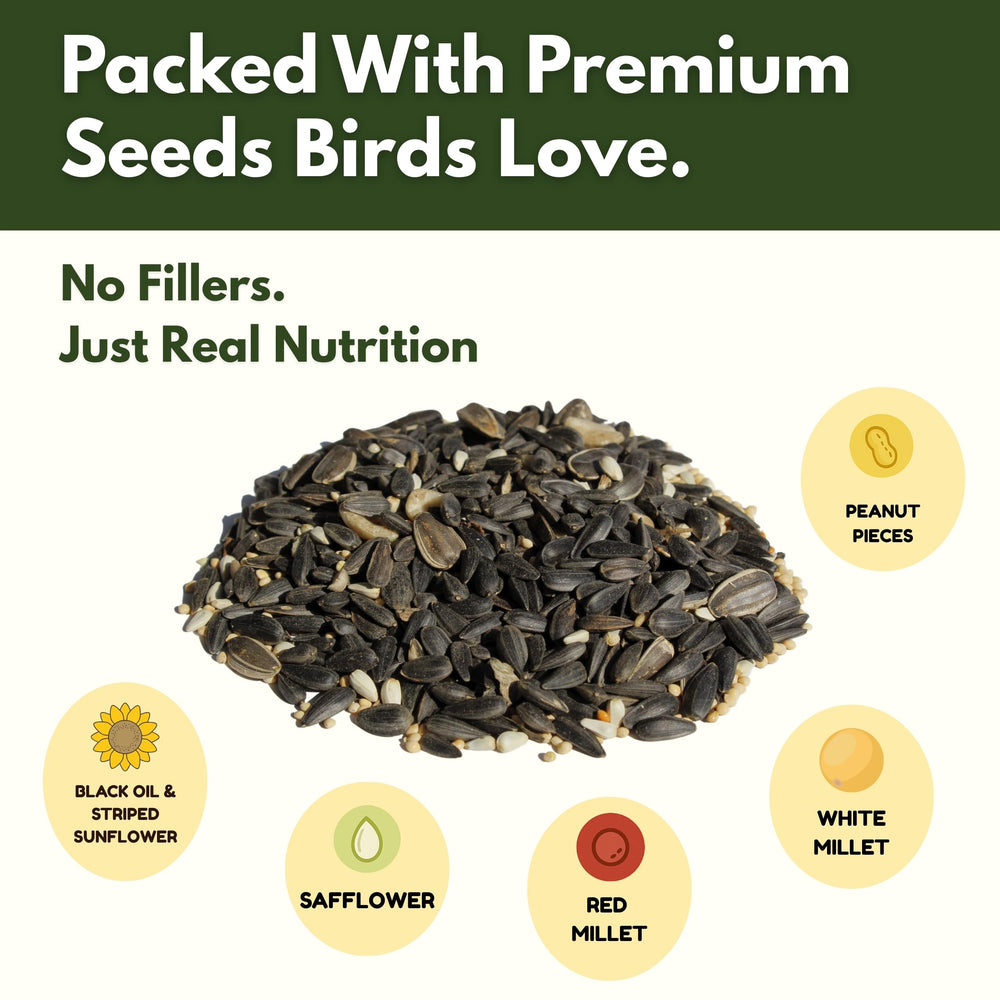 FREEBIRD aves comiendo en comedero exterior con mezcla variada.
