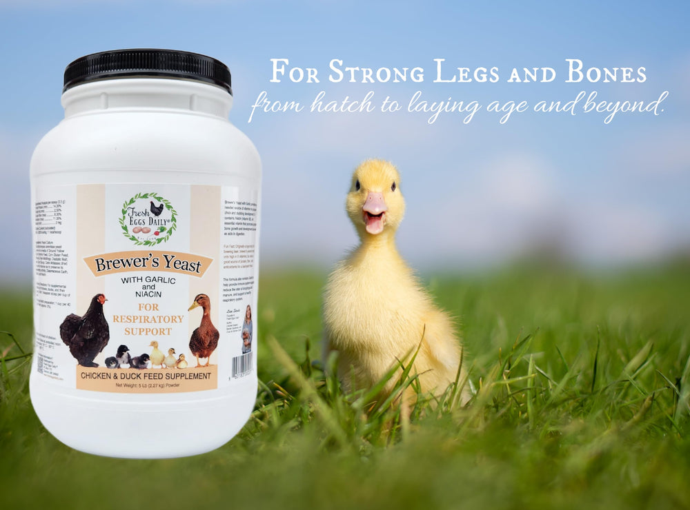 Fresh Eggs Daily levadura para aves con ajo y niacina, medidor incluido.
