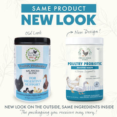 Fresh Eggs Daily Probiotics en dosificador, dosis diaria para aves, mejora absorción de nutrientes.