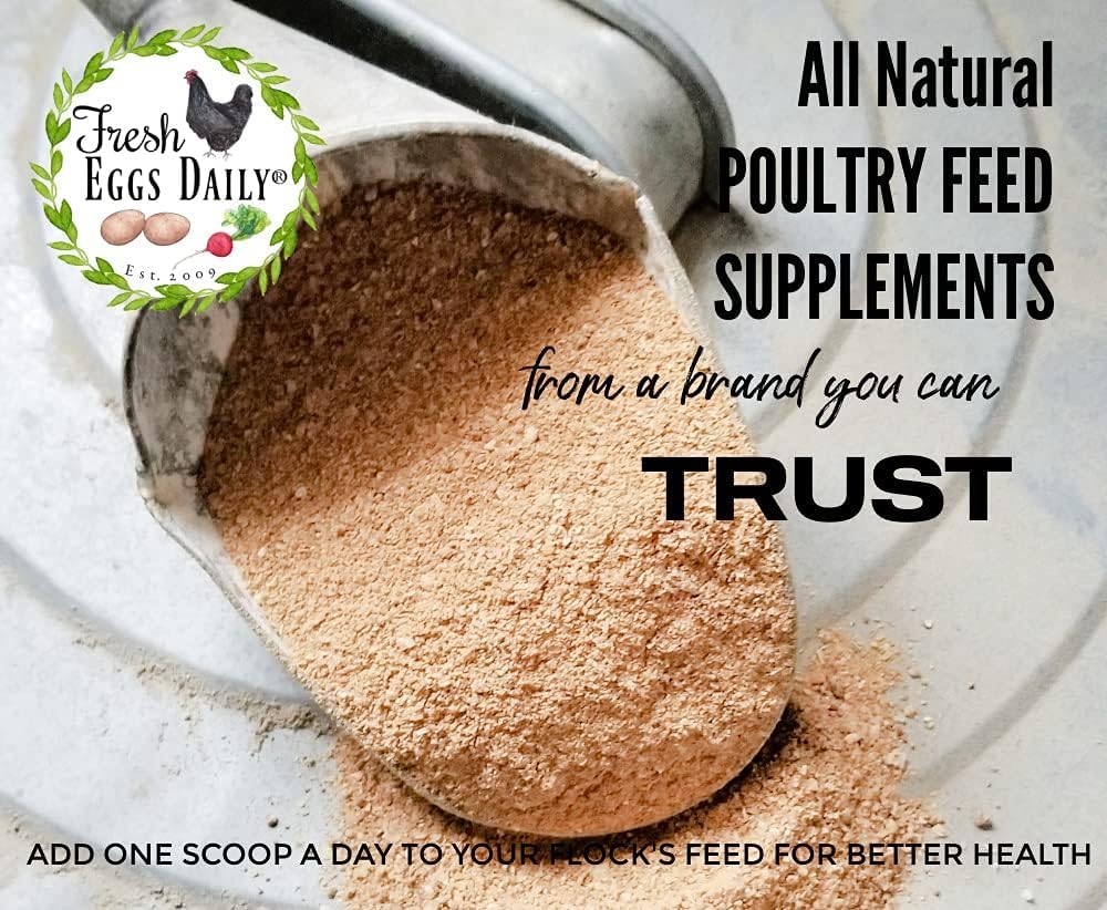 Fresh Eggs Daily Probiotics para coop, mejora la salud general y el bienestar de las aves.