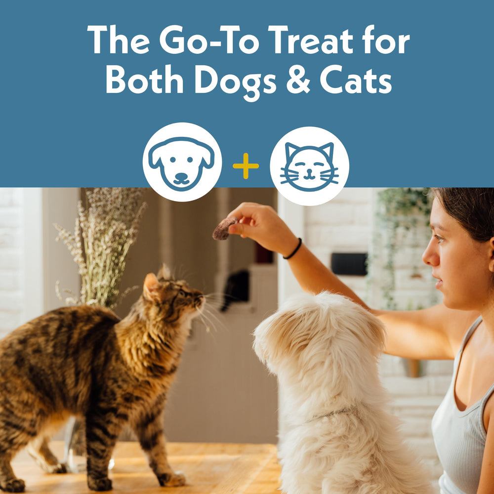 Fresh Is Best: bolsa con cierre reutilizable para conservar frescura de los corazones deshidratados.