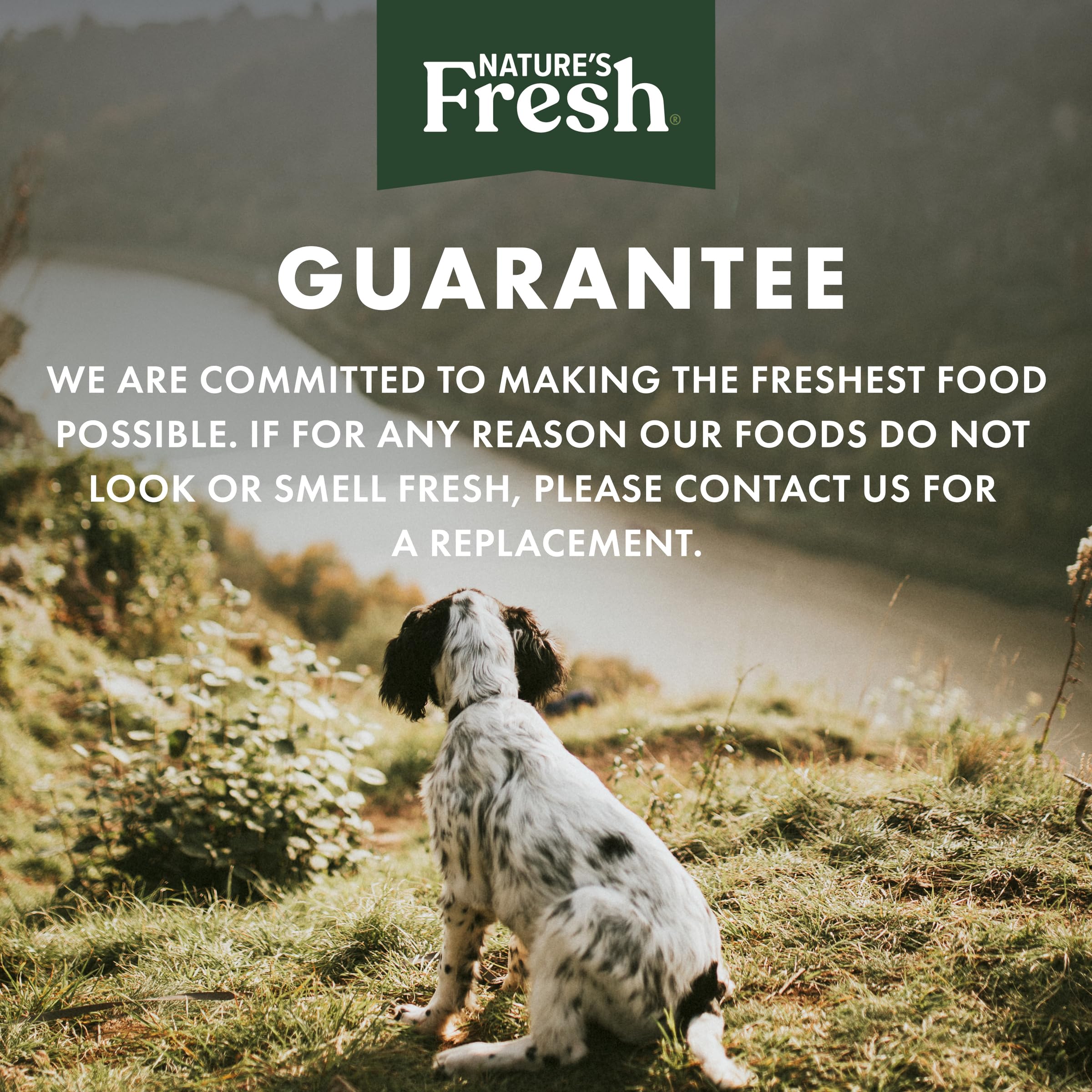 Freshpet cocina con energía eólica para una huella ambiental menor